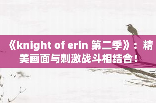 《knight of erin 第二季》：精美画面与刺激战斗相结合！