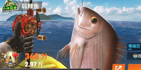 欢乐钓鱼大师鱼种类有哪些